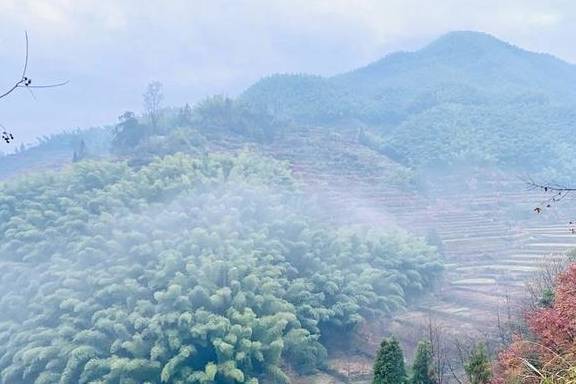 我与浙江坑根石寨相遇在云雾缭绕中8