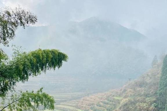 我与浙江坑根石寨相遇在云雾缭绕中10