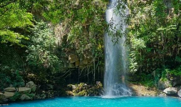 杭州一座公园,被称为“萧山的太子湾公园”,一年四季都有花盛开3