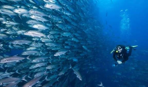 北上人免签！世界最佳旅行目的地之一，梦想中的热带奇景它都有4
