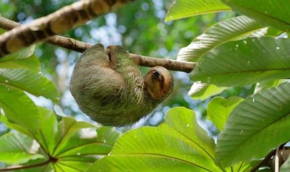 北上人免签！世界最佳旅行目的地之一，梦想中的热带奇景它都有5