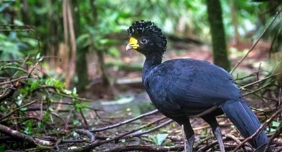 北上人免签！世界最佳旅行目的地之一，梦想中的热带奇景它都有8