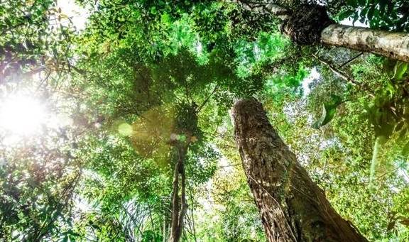 北上人免签！世界最佳旅行目的地之一，梦想中的热带奇景它都有10