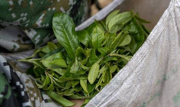 ‖章家寨──布朗山名寨之一1