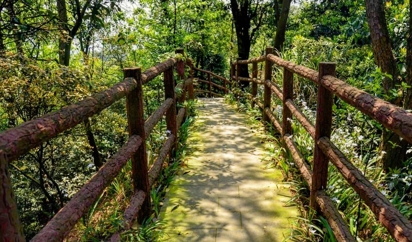 重庆北碚的佛教圣地,因李商隐而闻名,还有国内唯一的迦叶道场7