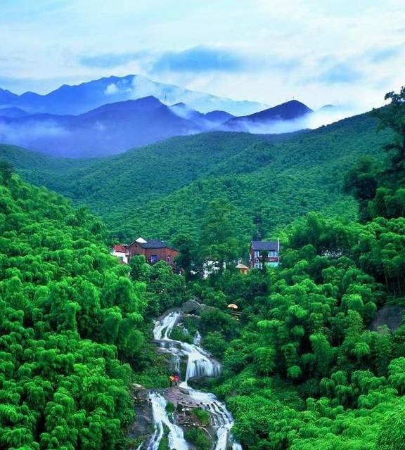 杭州余杭鸬鸟镇山沟沟村:浙江最美的十棵银杏树王之一在此4