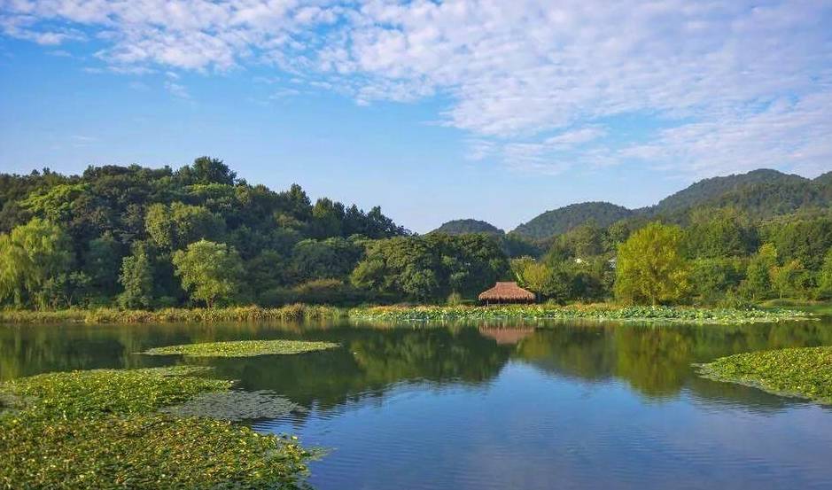 杭州有个免费的踏青景点，被称为西湖“后花园”，公交车可以直达1