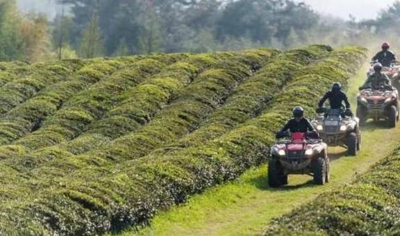 杭州余杭鸬鸟镇山沟沟村:浙江最美的十棵银杏树王之一在此6