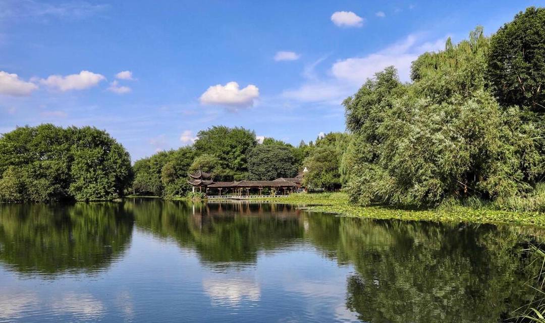 杭州有个免费的踏青景点，被称为西湖“后花园”，公交车可以直达4