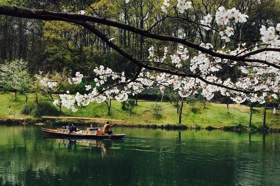 杭州有个免费的踏青景点，被称为西湖“后花园”，公交车可以直达5