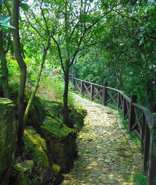 江苏一国家级公园走红，森林覆盖率99.9%，内藏苏州4大之最4