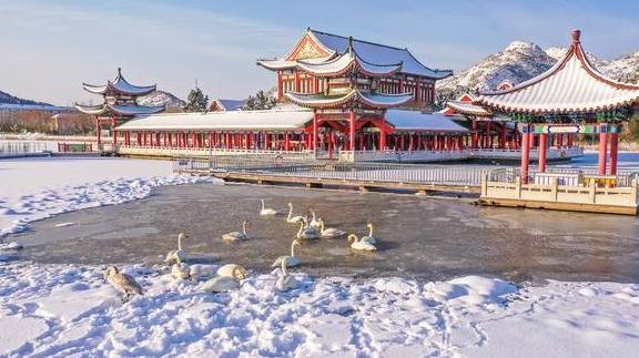 风雪荣成天:山河壮丽,人间温暖1