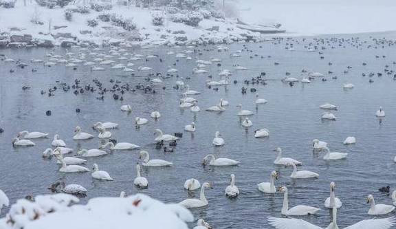 风雪荣成天:山河壮丽,人间温暖2