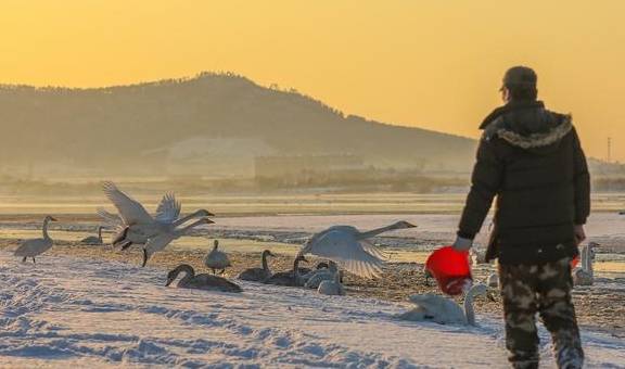 风雪荣成天:山河壮丽,人间温暖3