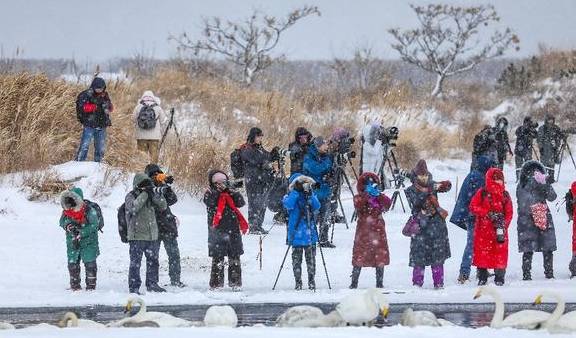 风雪荣成天:山河壮丽,人间温暖5