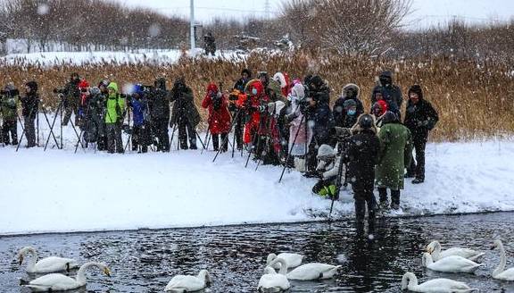 风雪荣成天:山河壮丽,人间温暖6
