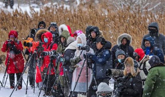 风雪荣成天:山河壮丽,人间温暖7