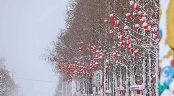 风雪荣成天:山河壮丽,人间温暖8