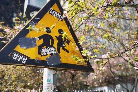 为何代表委员纷纷提及“机器人”?两会建言透露产业机遇1