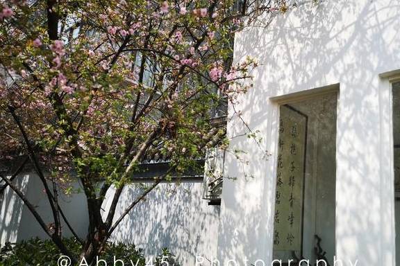 武汉那么多大街小巷，有一条街可盐可甜，来了就不自觉文艺起来2