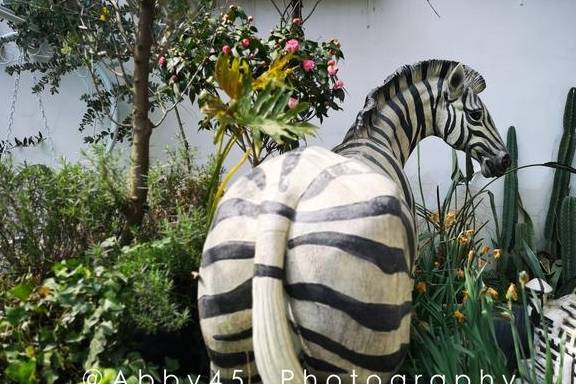 武汉那么多大街小巷，有一条街可盐可甜，来了就不自觉文艺起来5