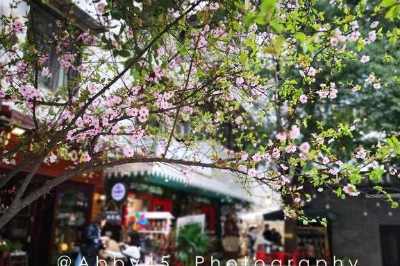 武汉那么多大街小巷，有一条街可盐可甜，来了就不自觉文艺起来7