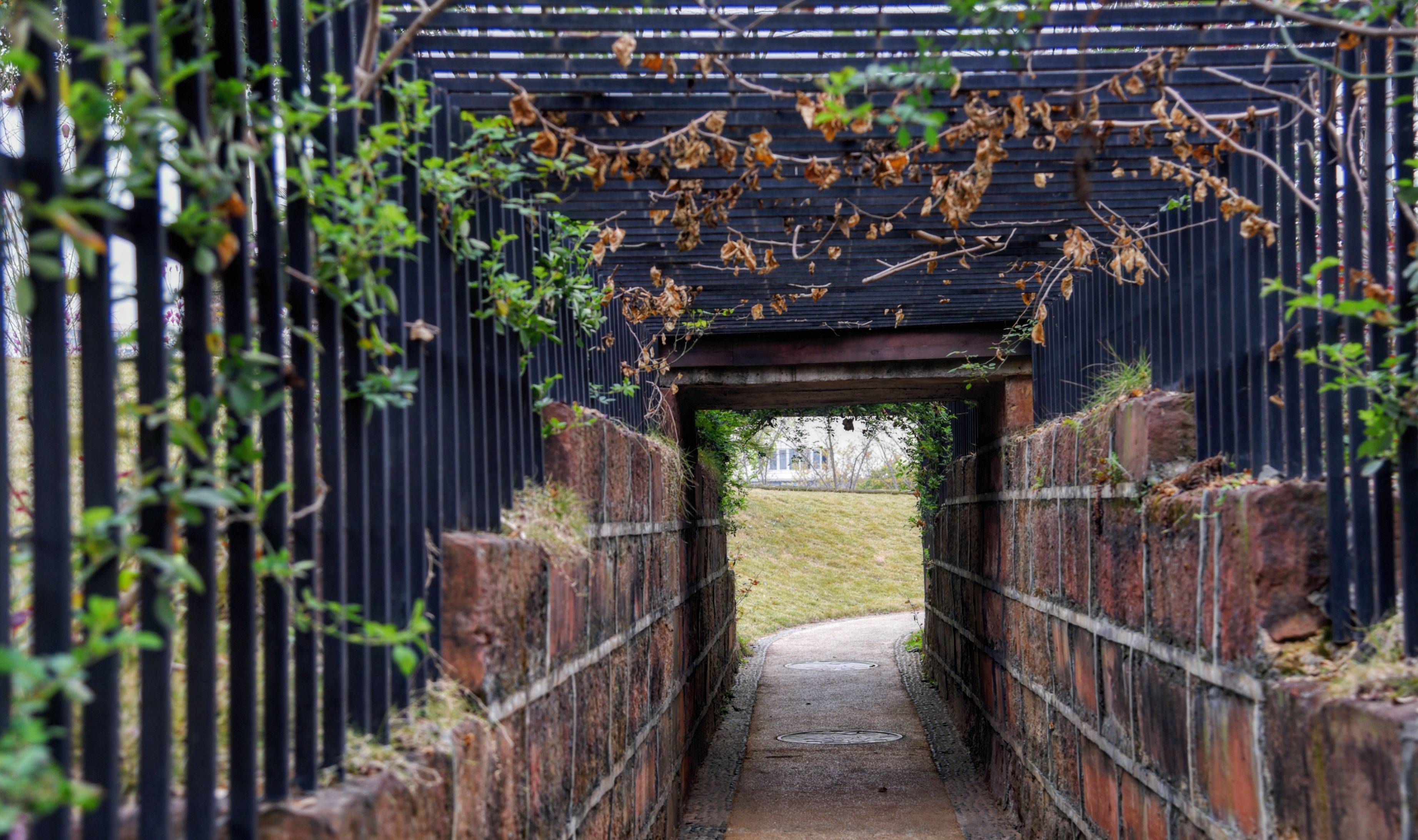 眉山赏花好去处,十余种樱花混栽,堪称四川十大花卉观赏地之一8