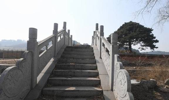 沈阳“雪藏”五百岁古松,就在城南这个村2