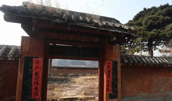 沈阳“雪藏”五百岁古松,就在城南这个村3