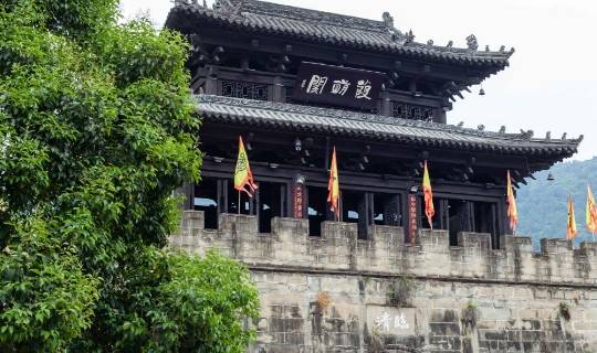 沈阳“雪藏”五百岁古松,就在城南这个村6