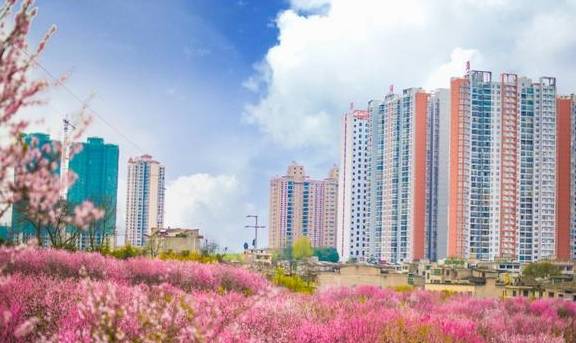 摄 影，丨这里是贵州黔西，处处皆景11