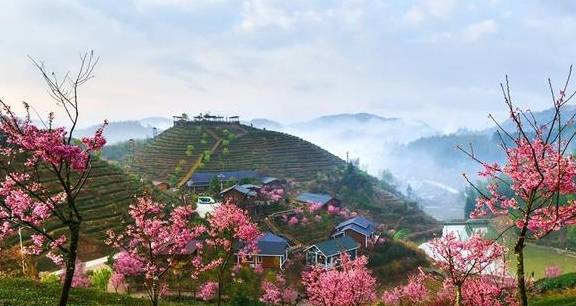 3-6天踏春好去处!这些人少景美的赏樱胜地,搭个高铁就能到11