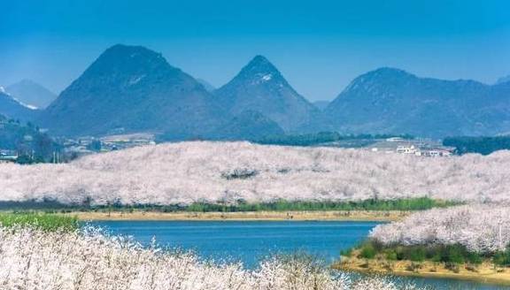 3-6天踏春好去处!这些人少景美的赏樱胜地,搭个高铁就能到18