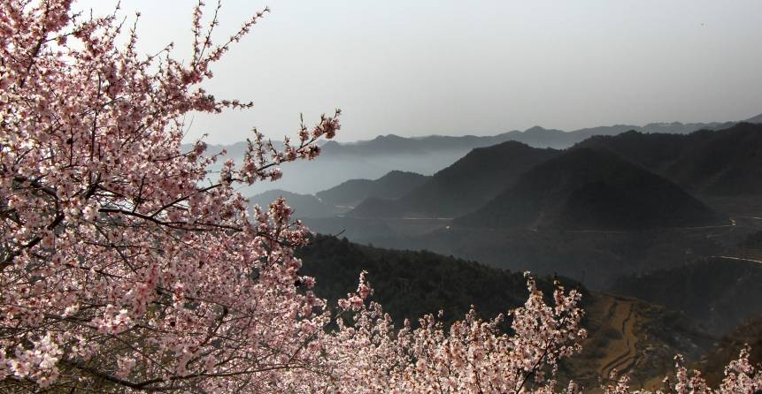 三月的春风,在太行大峡谷描绘出一幅独特的初春画卷1