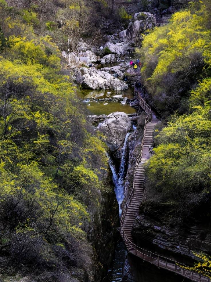 三月的春风,在太行大峡谷描绘出一幅独特的初春画卷2