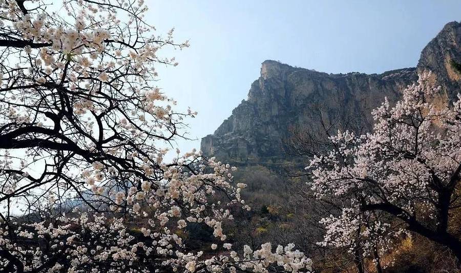 三月的春风,在太行大峡谷描绘出一幅独特的初春画卷4