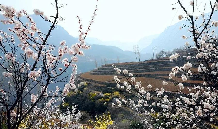 三月的春风,在太行大峡谷描绘出一幅独特的初春画卷5