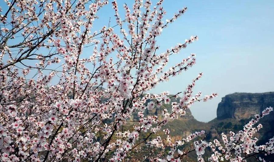 三月的春风,在太行大峡谷描绘出一幅独特的初春画卷6