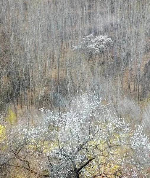 三月的春风,在太行大峡谷描绘出一幅独特的初春画卷7