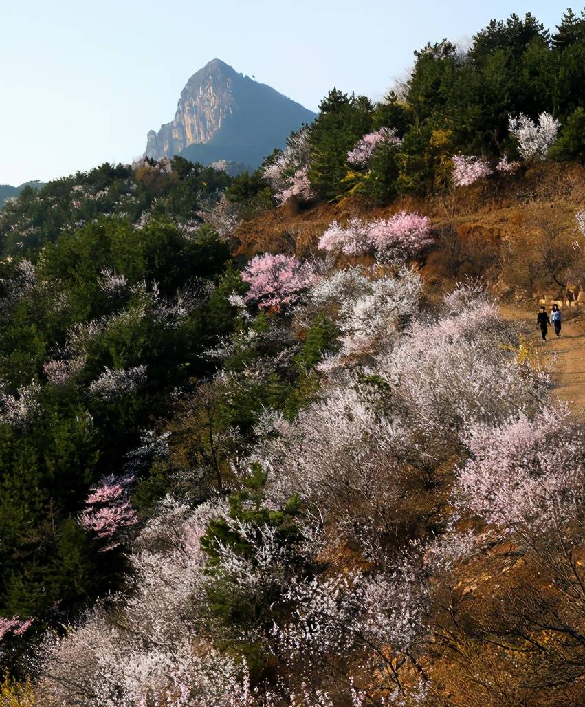 三月的春风,在太行大峡谷描绘出一幅独特的初春画卷8