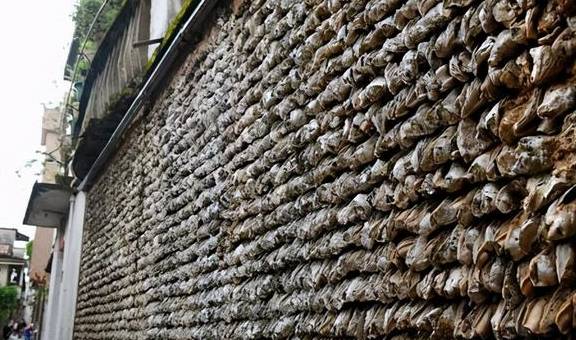 广东最特别的村子:靠卖生蚝一年赚14亿,还能用生蚝盖房子6