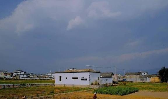 孤独咖啡馆，田野里的真实所在2