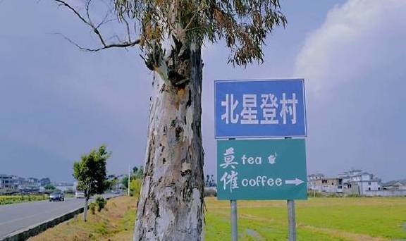 孤独咖啡馆，田野里的真实所在4