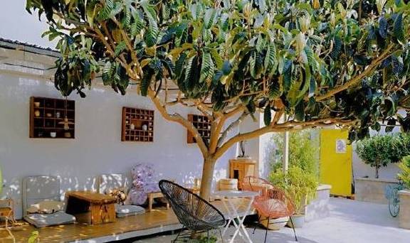 孤独咖啡馆，田野里的真实所在5