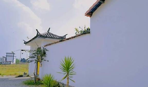 孤独咖啡馆，田野里的真实所在12