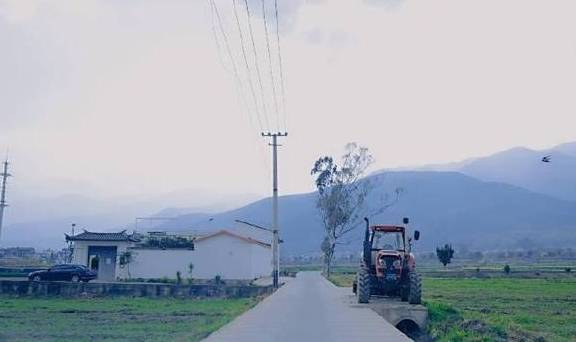 孤独咖啡馆，田野里的真实所在13