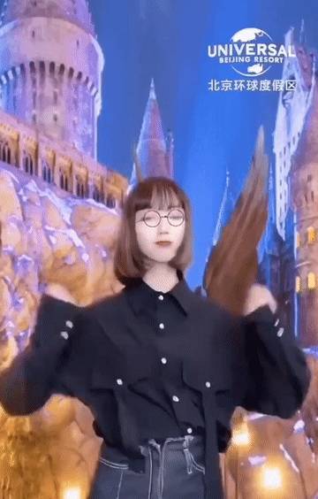 你不要的土味魔幻世界,都在北京环球影城的宣传里了6