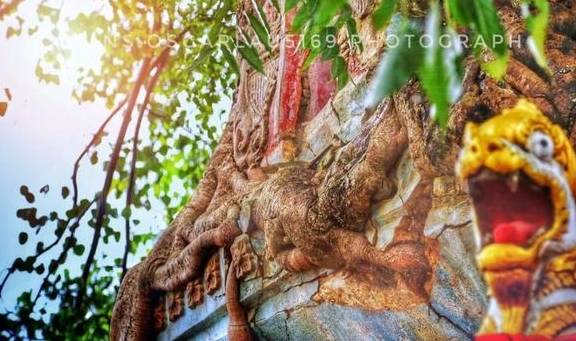 不输版纳，不输普洱！好吃又好玩的边陲小城，云南还有一个6