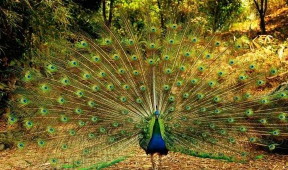 不输版纳，不输普洱！好吃又好玩的边陲小城，云南还有一个10