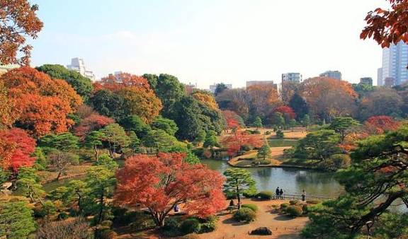 每次回味东京樱花季,我就想起挤上野前,日本房东含蓄的话5